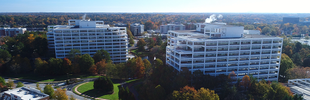 Skyline view of the Terraces