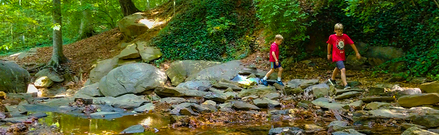 Boys walking through creek at Dunwoody Nature Center