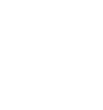 House icon white