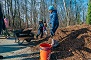 child planting a tree