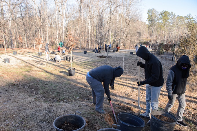 Volunteers plant trees during MLK, Jr. Day of Service, photo by Paul Ward