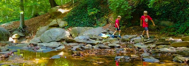 Dunwoody Park boys play in creek