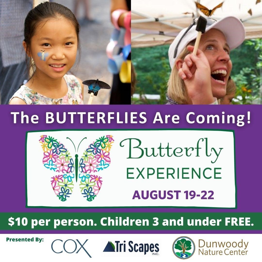 butterfly experience August 12 - 22