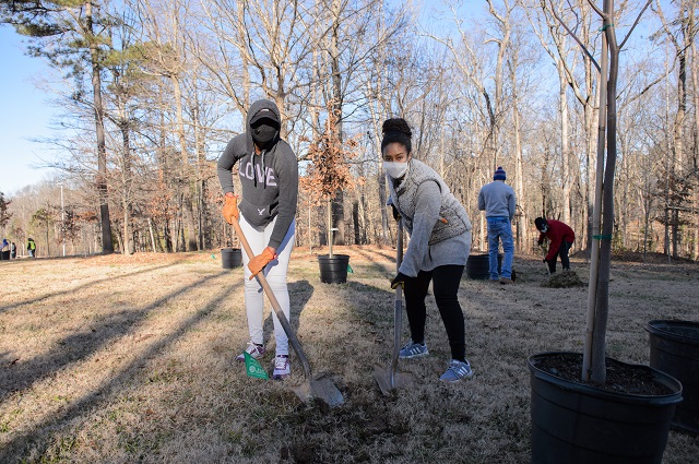 Dunwoody's MLK, Jr. Day of Service 2021