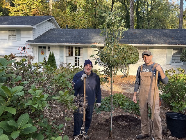 front yard tree program with staff planting