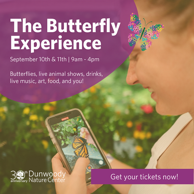 butterfly experience logo