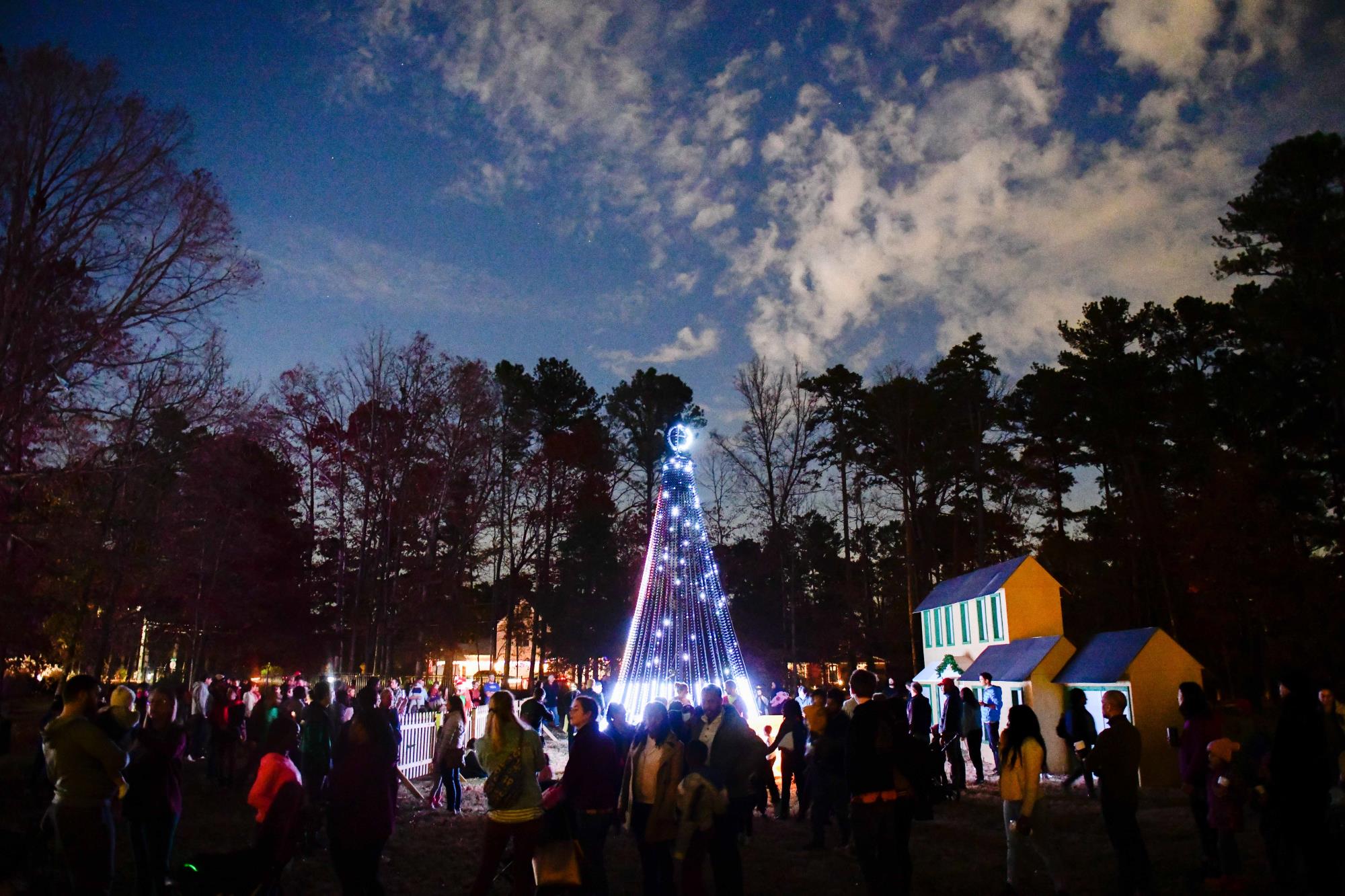 Holiday Lights mega tree