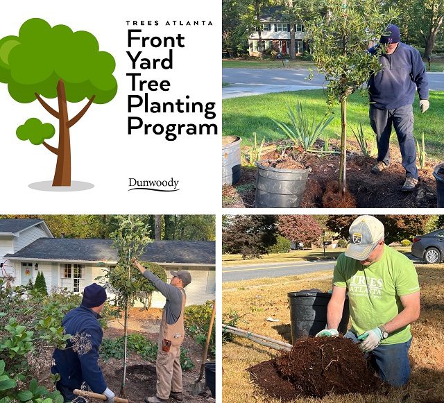 Tree Planting collage for web