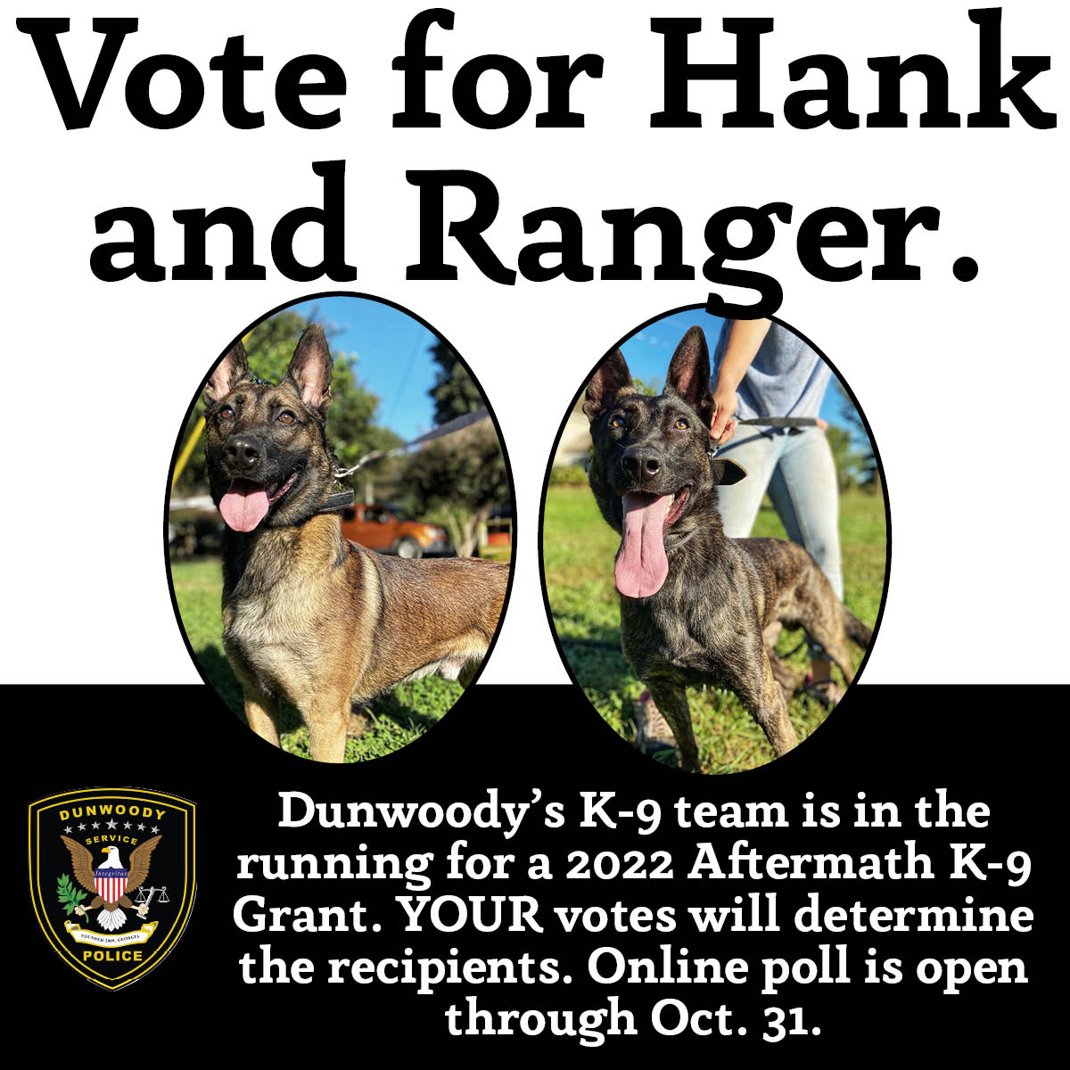 Vote for Hank and Ranger