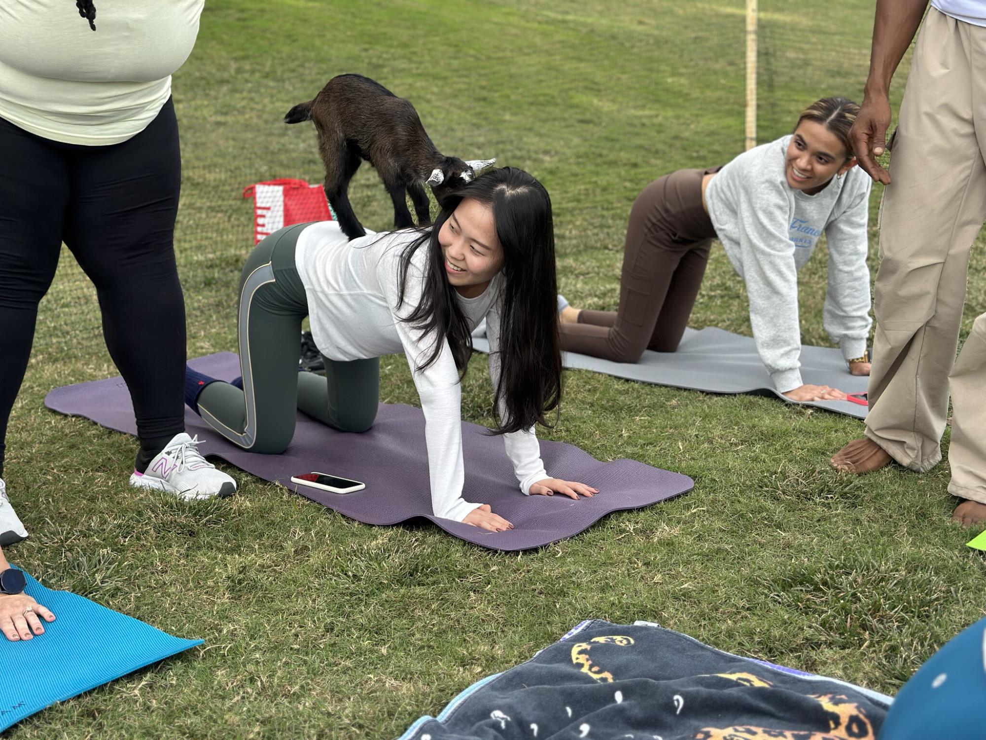 Pilates student with therapy goat