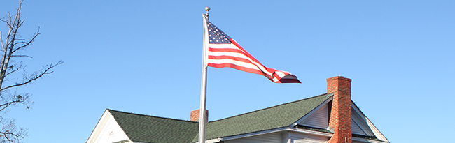 Flag website banner image_24