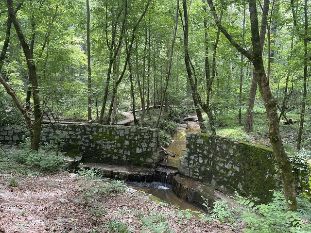 Dunwoody Nature Center boardwalk July 2024