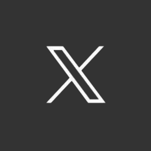 x logo for city site