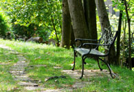 Vernon Oak Spring Bench